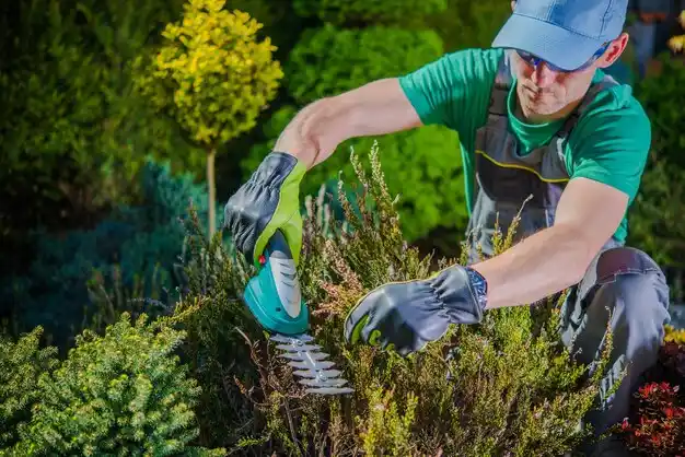 landscaping services Kirtland
